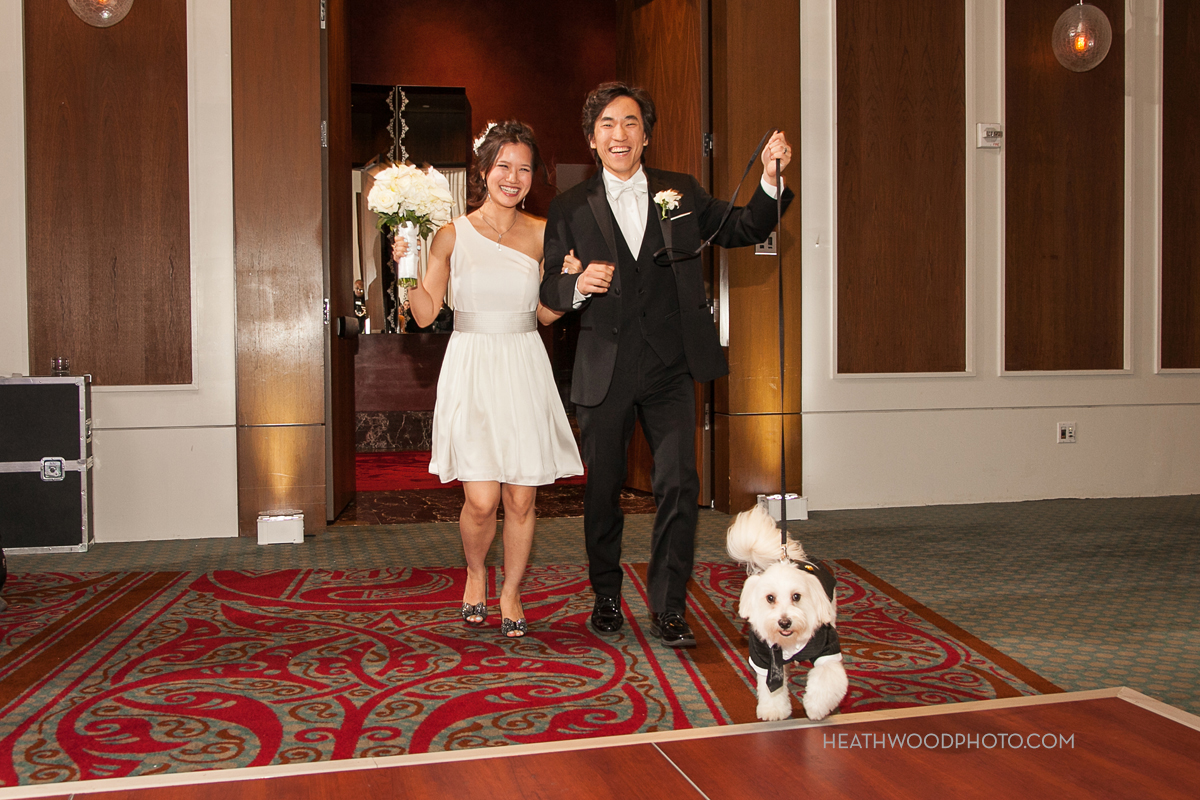 Bride and room’s entrance to ballroom- with their dog by: Heathwood Photo