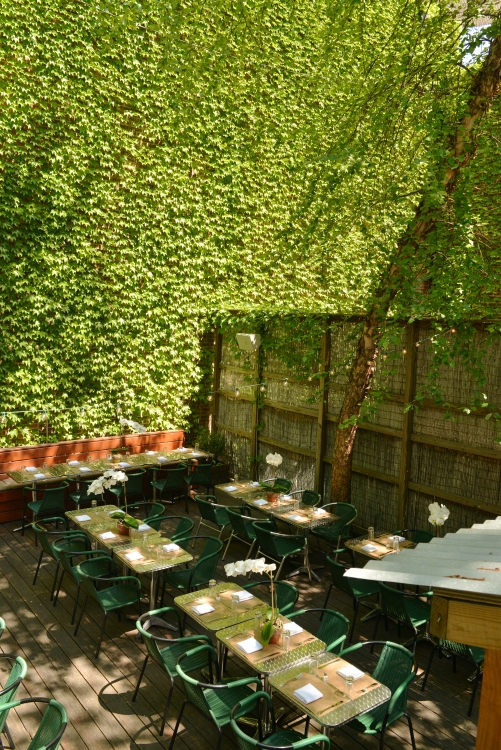 Backyard Set for Wedding by: Steve Worth Photography