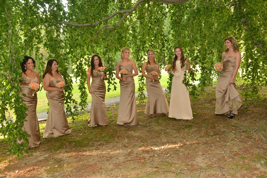 Bridesmaids Under Tree behind Castle by: Steve Worth Photography